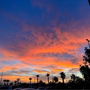 Meet your Posher, Dylan